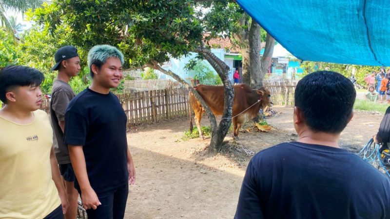 Di Usia 19 Tahun, Kreator Muda Asal Pesawaran Berqurban Sapi: Omped Visual Jadi Inspirasi Pemuda Desa