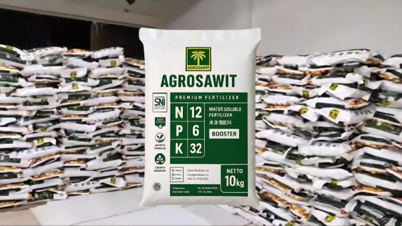 AGROSAWIT Pecahkan Rekor! Satu-Satunya Pupuk NPK dengan Kalium 32%, Ampuh untuk Sawit & Tanaman Buah, Kini Buka Peluang Agen